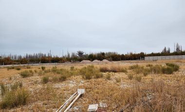Terreno de 2 hectáreas  en  Neuquén