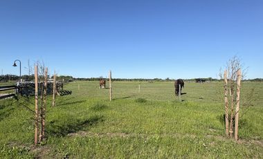 chacra de 10.000 m2 , en Chacras de Zelaya