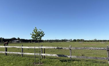 chacra de 10.000 m2 , en Chacras de Zelaya