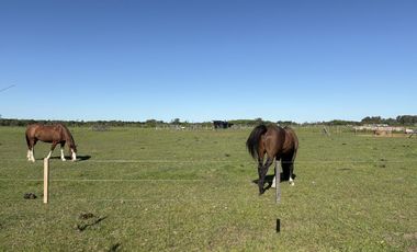 chacra de 10.000 m2 , en Chacras de Zelaya