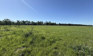 chacra de 10.000 m2 , en Chacras de Zelaya