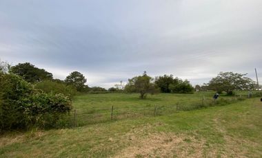 GRAN TERRENO EN CAYASTA SOBRE RUTA 1