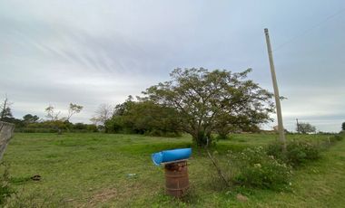 GRAN TERRENO EN CAYASTA SOBRE RUTA 1