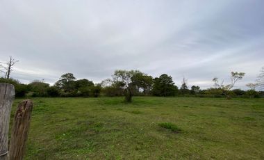 GRAN TERRENO EN CAYASTA SOBRE RUTA 1