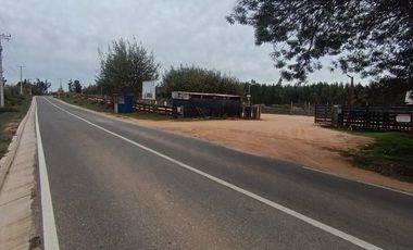 SAN PEDRO DE ALCÁNTARA