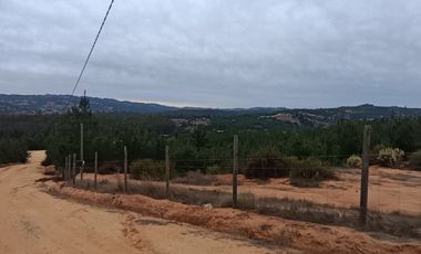 SAN PEDRO DE ALCÁNTARA