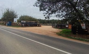 SAN PEDRO DE ALCÁNTARA