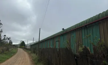 Terreno 69.965 m2 - Los Álamos