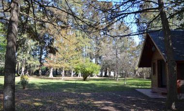 QUINTA EN VENTA SOBRE LOTE 10000 M2 - GUERNICA