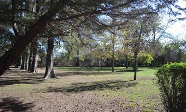 QUINTA EN VENTA SOBRE LOTE 10000 M2 - GUERNICA