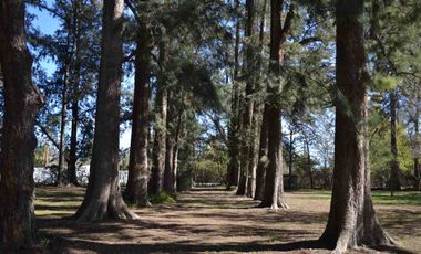QUINTA EN VENTA SOBRE LOTE 10000 M2 - GUERNICA
