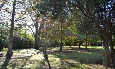 QUINTA EN VENTA SOBRE LOTE 10000 M2 - GUERNICA