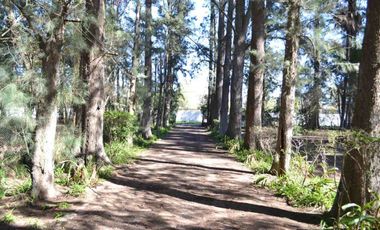 QUINTA EN VENTA SOBRE LOTE 10000 M2 - GUERNICA