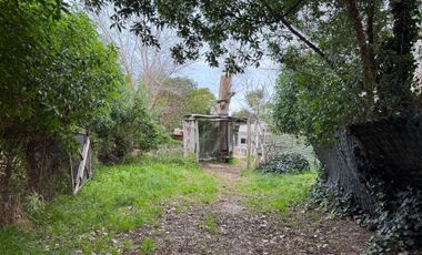 Monoambiente en Planta Baja  en Alfar