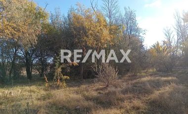 Alquila Chacra 63 ha costa Rio Limay Cipolletti RN