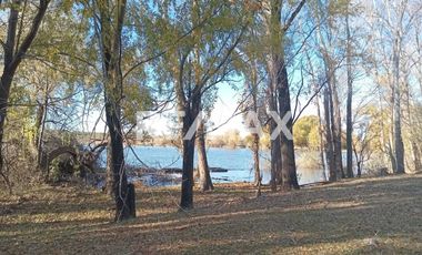 Alquila Chacra 63 ha costa Rio Limay Cipolletti RN