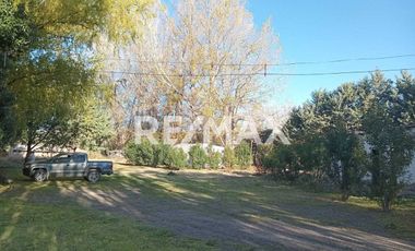 Alquila Chacra 63 ha costa Rio Limay Cipolletti RN