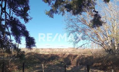 Alquila Chacra 63 ha costa Rio Limay Cipolletti RN