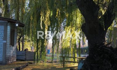 Alquila Chacra 63 ha costa Rio Limay Cipolletti RN