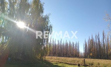 Alquila Chacra 63 ha costa Rio Limay Cipolletti RN