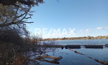 Alquila Chacra 63 ha costa Rio Limay Cipolletti RN