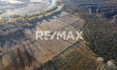 Alquila Chacra 63 ha costa Rio Limay Cipolletti RN