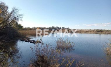 Alquila Chacra 63 ha costa Rio Limay Cipolletti RN
