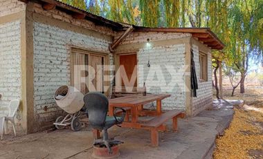 Alquila Chacra 63 ha costa Rio Limay Cipolletti RN