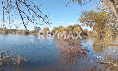 Alquila Chacra 63 ha costa Rio Limay Cipolletti RN