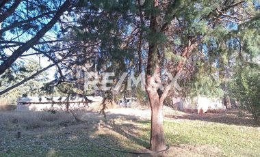 Alquila Chacra 63 ha costa Rio Limay Cipolletti RN