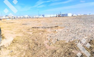 En Venta, Predio de 5000 m2, Proyecto aprobado para Galpón, Añelo