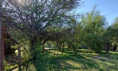 Cabaña con pileta en venta en Arroyo de Los Patos | Entorno natural y potencial de renta