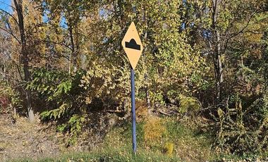 Terreno en Confluencia Rural