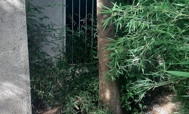 Casa en Villa Parque Sicardi