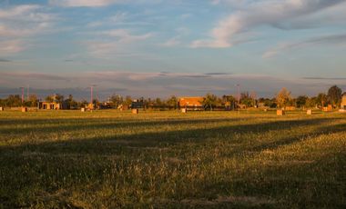 TERRENOS CON ESCRITURA INMEDIATA en Ribera de Andino