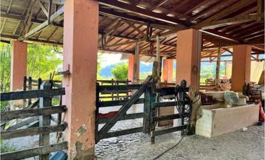 (V.I) FINCA LA ESPERANZA UBICADA ENTRE TITIRIBI Y AMAG