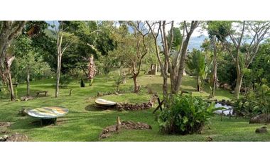 (V.I) FINCA LA ESPERANZA UBICADA ENTRE TITIRIBI Y AMAG