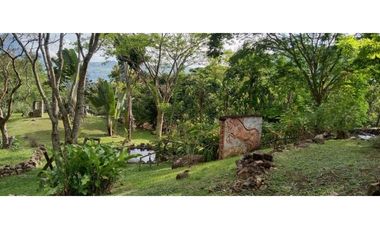 (V.I) FINCA LA ESPERANZA UBICADA ENTRE TITIRIBI Y AMAG