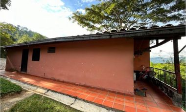 (V.I) FINCA LA ESPERANZA UBICADA ENTRE TITIRIBI Y AMAG