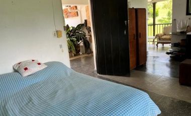 (V.I) FINCA LA ESPERANZA UBICADA ENTRE TITIRIBI Y AMAG