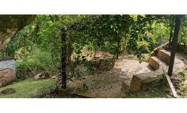 (V.I) FINCA LA ESPERANZA UBICADA ENTRE TITIRIBI Y AMAG