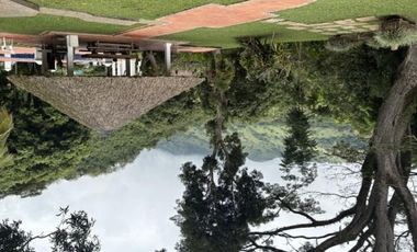 (V.I) FINCA LA ESPERANZA UBICADA ENTRE TITIRIBI Y AMAG