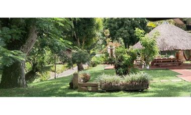 (V.I) FINCA LA ESPERANZA UBICADA ENTRE TITIRIBI Y AMAG