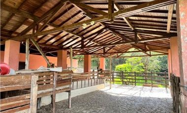 (V.I) FINCA LA ESPERANZA UBICADA ENTRE TITIRIBI Y AMAG