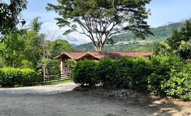 (V.I) FINCA LA ESPERANZA UBICADA ENTRE TITIRIBI Y AMAG