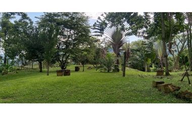 (V.I) FINCA LA ESPERANZA UBICADA ENTRE TITIRIBI Y AMAG