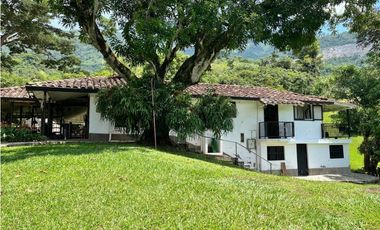 (V.I) FINCA LA ESPERANZA UBICADA ENTRE TITIRIBI Y AMAG