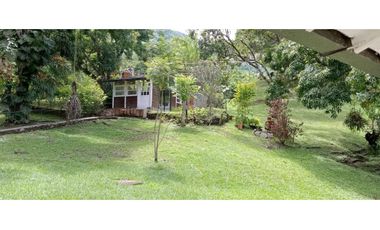 (V.I) FINCA LA ESPERANZA UBICADA ENTRE TITIRIBI Y AMAG