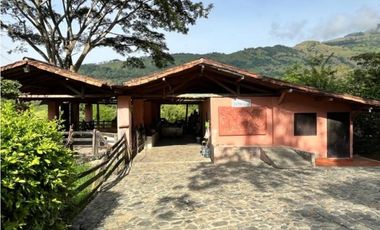 (V.I) FINCA LA ESPERANZA UBICADA ENTRE TITIRIBI Y AMAG