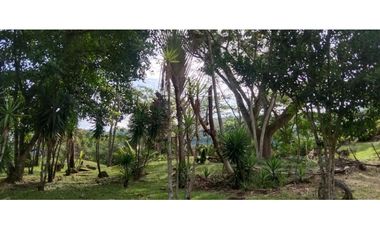 (V.I) FINCA LA ESPERANZA UBICADA ENTRE TITIRIBI Y AMAG